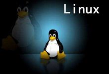 Linux VPS 常用测试脚本 – 包含硬件信息,网速,延迟.路由-798VPS