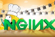 后端必备 Nginx 配置-798VPS