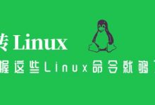 玩转 Linux,掌握这些 Linux 命令就够了!-798VPS