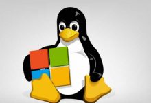 linux常见的命令行和快捷键-798VPS