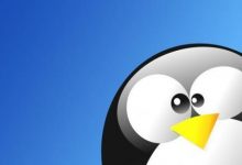 wget 下载整个网页和css、js、图片数据-798VPS