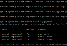 多python版本共存时,切换默认版本-798VPS