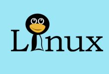 Linux常用命令-798VPS