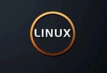 Linux文本教程---grep、sed、awk-798VPS
